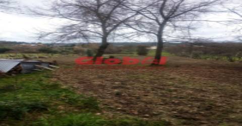 Terreno Rústico  Venda em Couto de Baixo e Couto de Cima,Viseu