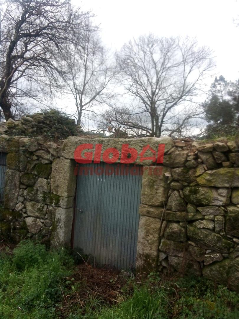 Terreno Rústico  Venda em Couto de Baixo e Couto de Cima,Viseu