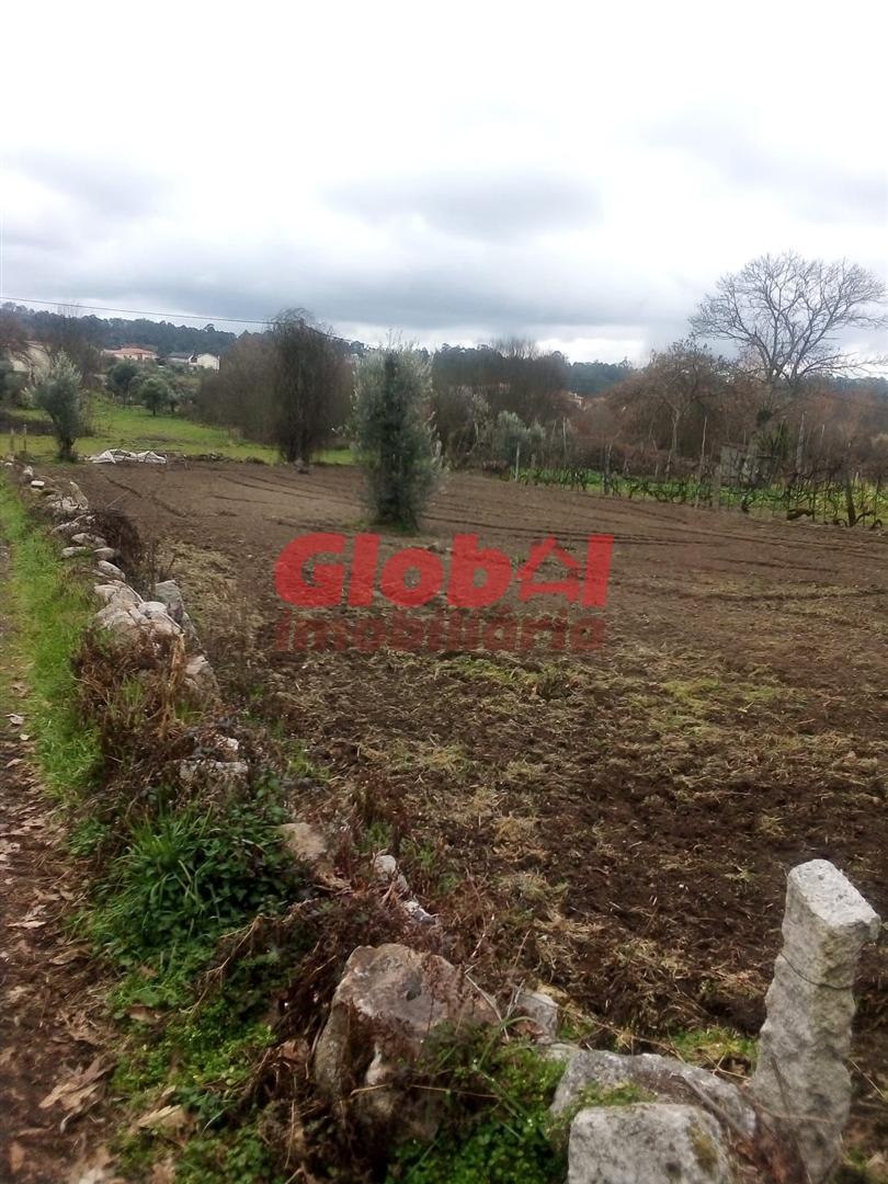 Terreno Rústico  Venda em Couto de Baixo e Couto de Cima,Viseu