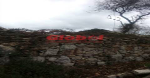 Terreno Rústico  Venda em Couto de Baixo e Couto de Cima,Viseu