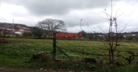 Terreno Rústico  Venda em Couto de Baixo e Couto de Cima,Viseu