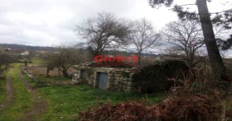 Terreno Rústico  Venda em Couto de Baixo e Couto de Cima,Viseu