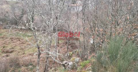 Terreno Rústico  Venda em Fragosela,Viseu