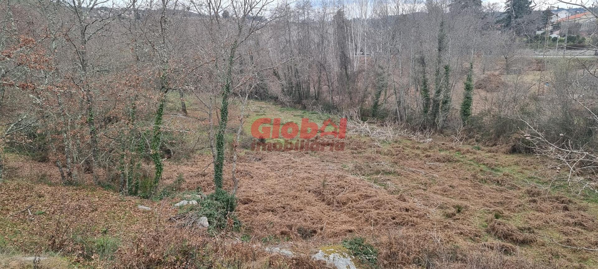 Terreno Rústico  Venda em Fragosela,Viseu