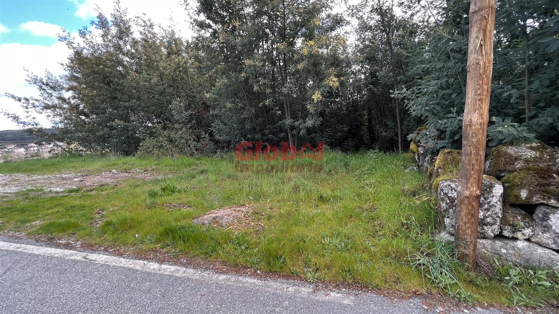 Lote de Terreno  Venda em Bodiosa,Viseu