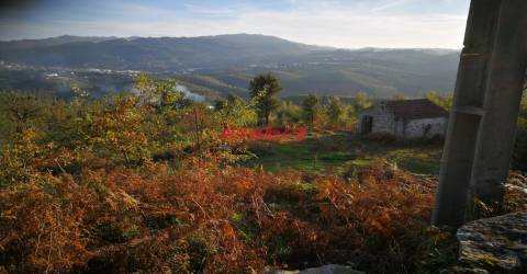 Terreno Para Construção  Venda em Serrazes,São Pedro do Sul