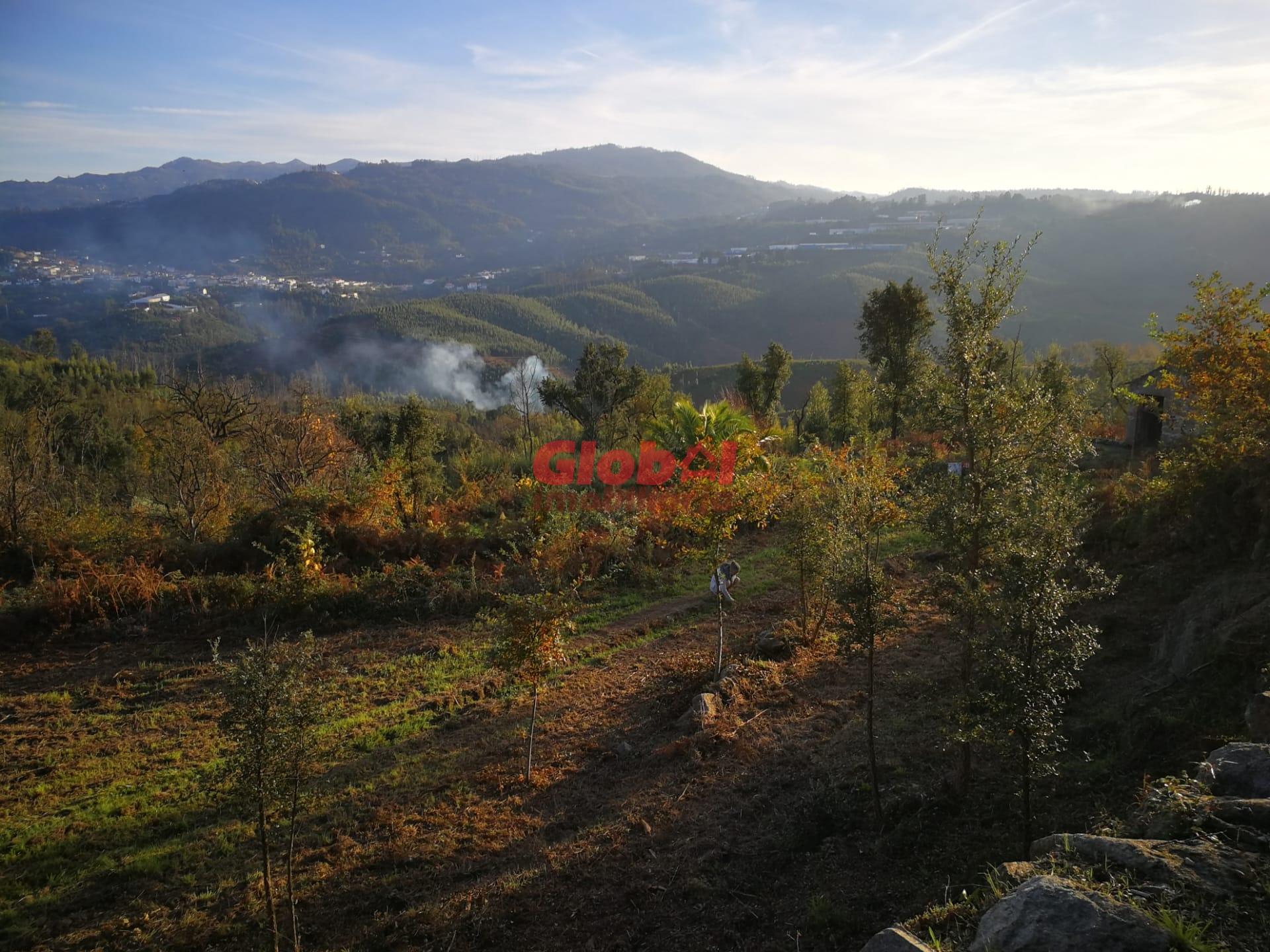 Terreno Para Construção  Venda em Serrazes,São Pedro do Sul