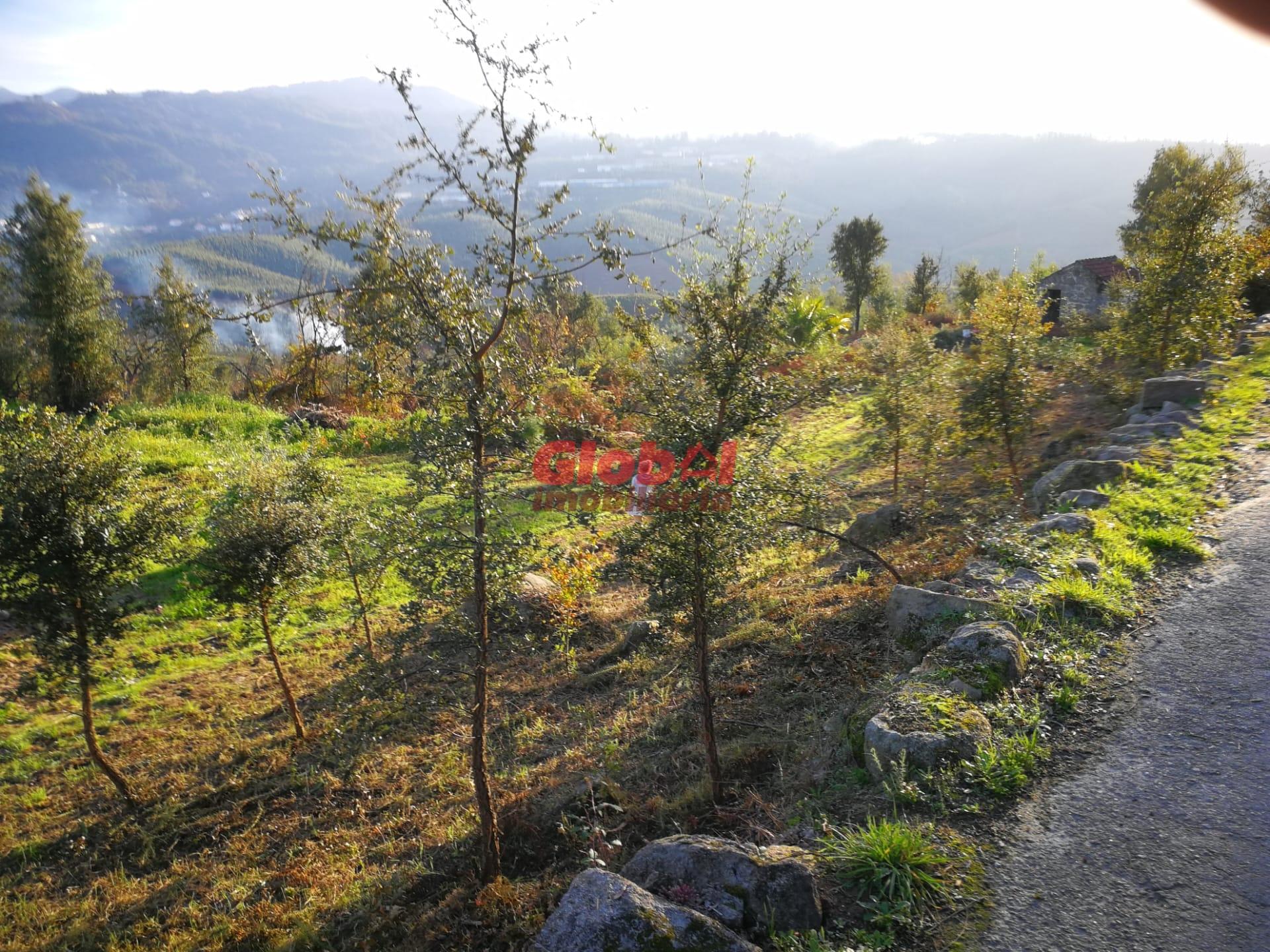 Terreno Para Construção  Venda em Serrazes,São Pedro do Sul