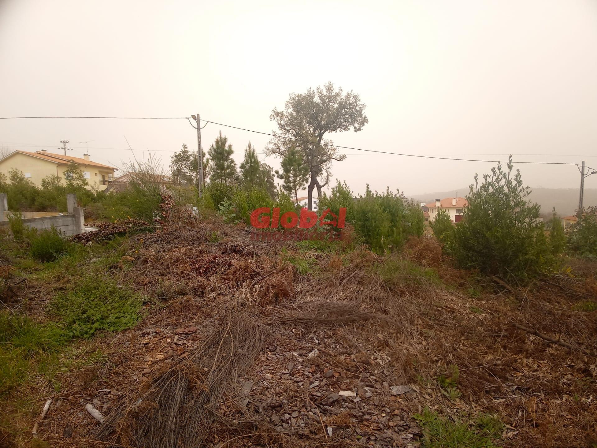 Lote de Terreno  Venda em Cavernães,Viseu