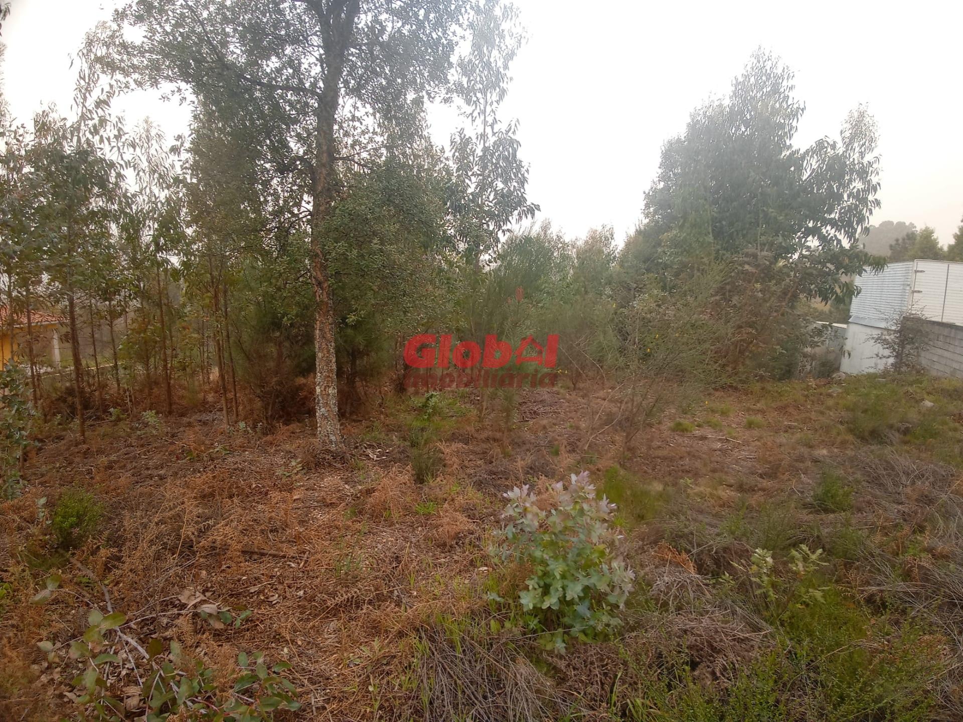 Lote de Terreno  Venda em Cavernães,Viseu