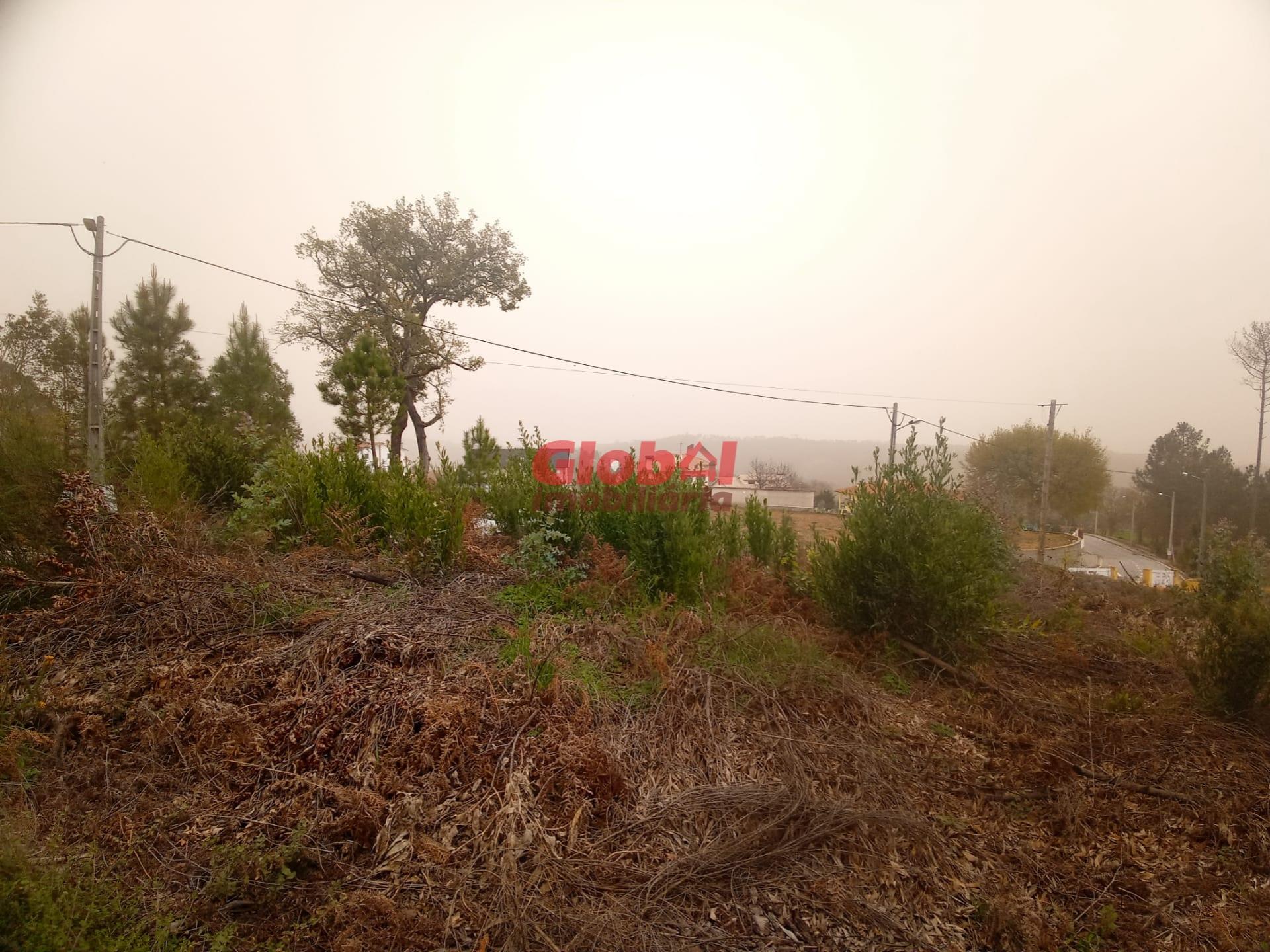 Lote de Terreno  Venda em Cavernães,Viseu