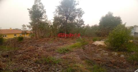 Lote de Terreno  Venda em Cavernães,Viseu