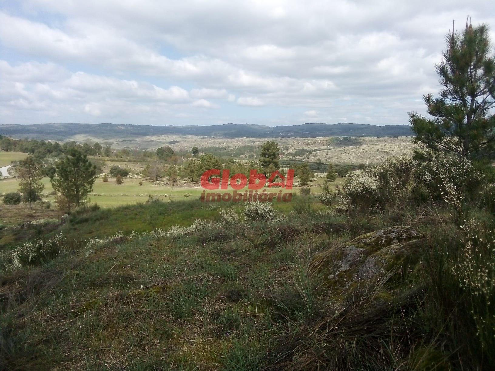 Quinta  Venda em Vila Franca da Serra,Gouveia