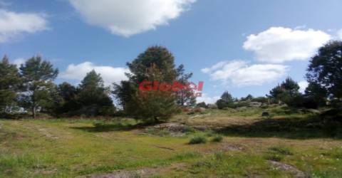 Quinta  Venda em Vila Franca da Serra,Gouveia