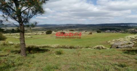 Quinta  Venda em Vila Franca da Serra,Gouveia