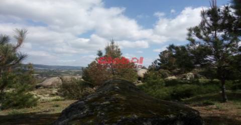 Quinta  Venda em Vila Franca da Serra,Gouveia