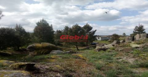 Quinta  Venda em Vila Franca da Serra,Gouveia