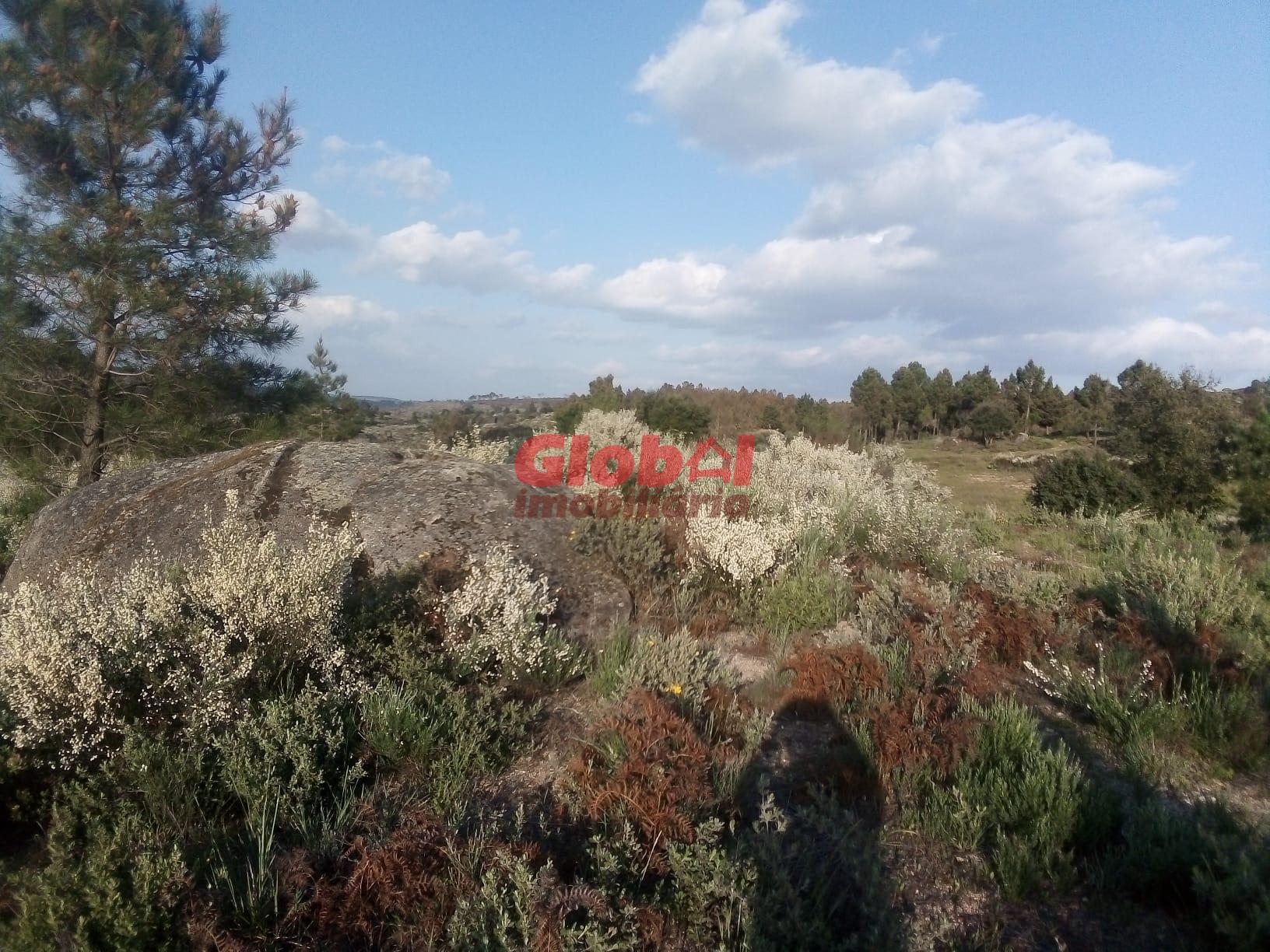 Terreno Urbano  Venda em Vila Franca da Serra,Gouveia