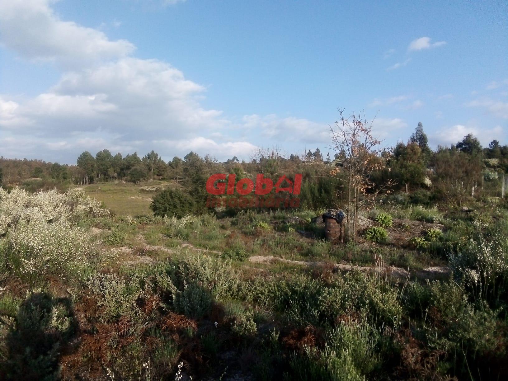 Terreno Urbano  Venda em Vila Franca da Serra,Gouveia