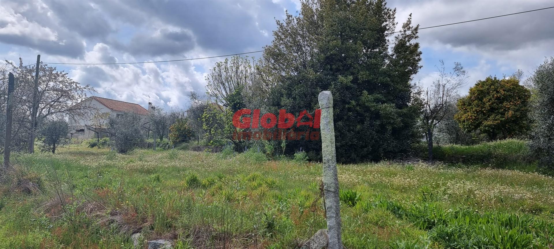 Terreno Para Construção  Venda em Fragosela,Viseu