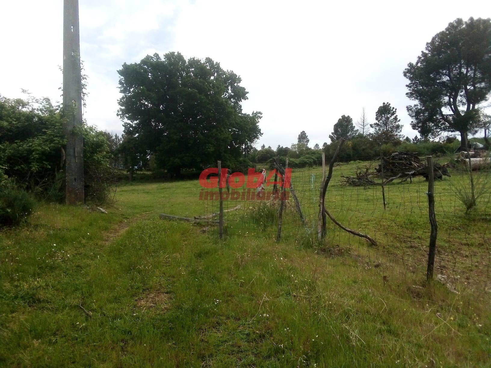 Terreno Rústico  Venda em Vila Franca da Serra,Gouveia