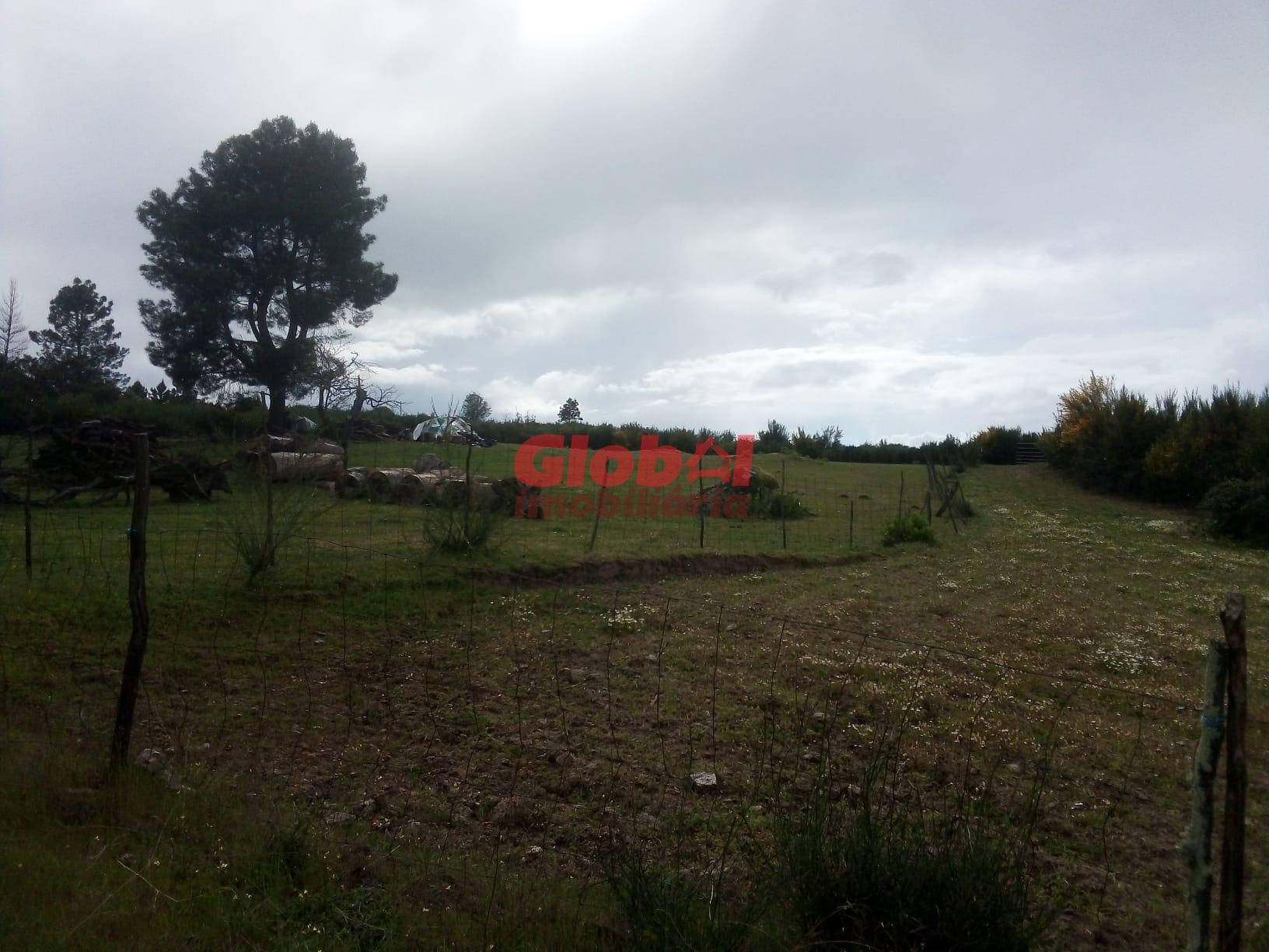 Terreno Rústico  Venda em Vila Franca da Serra,Gouveia