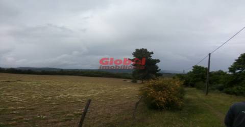 Terreno Rústico  Venda em Vila Franca da Serra,Gouveia