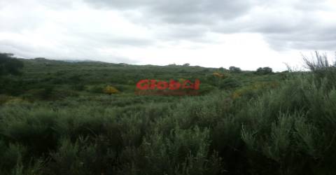 Terreno  Venda em Vila Franca da Serra,Gouveia