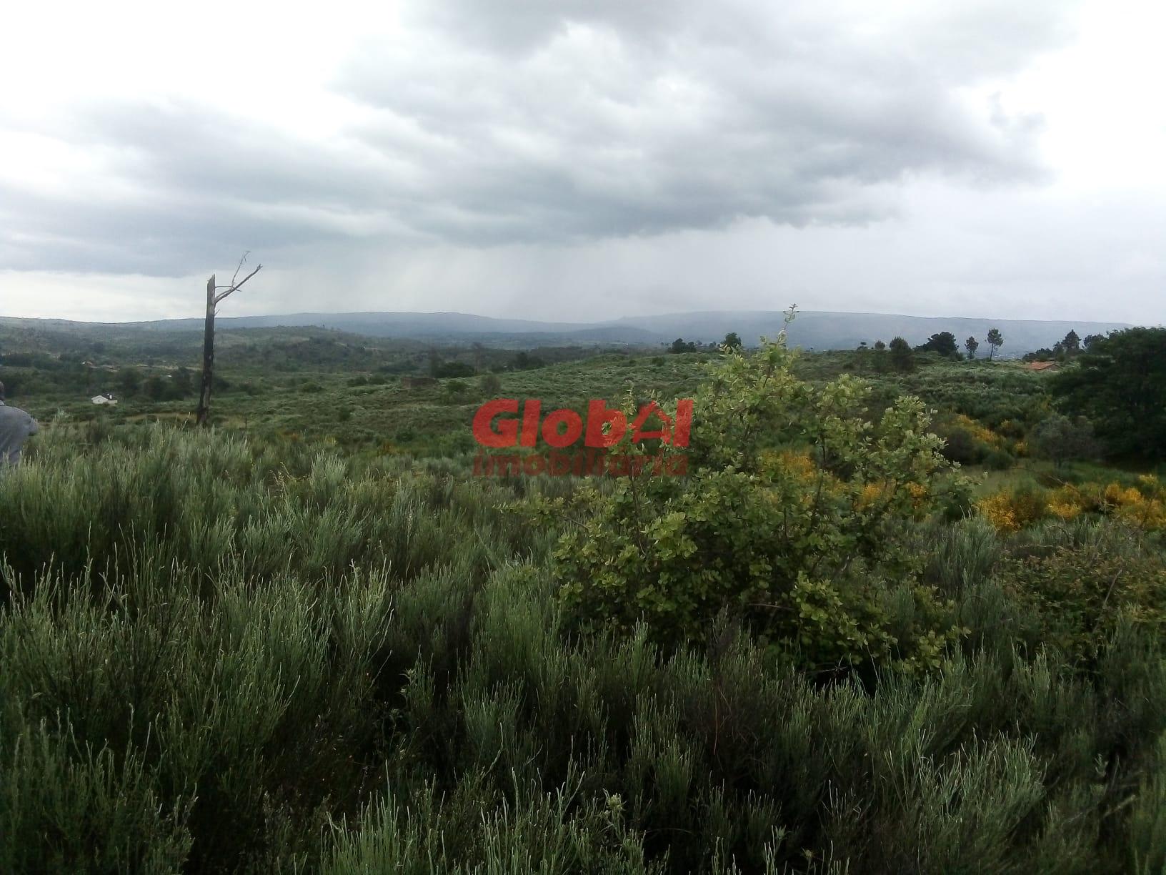 Terreno  Venda em Vila Franca da Serra,Gouveia