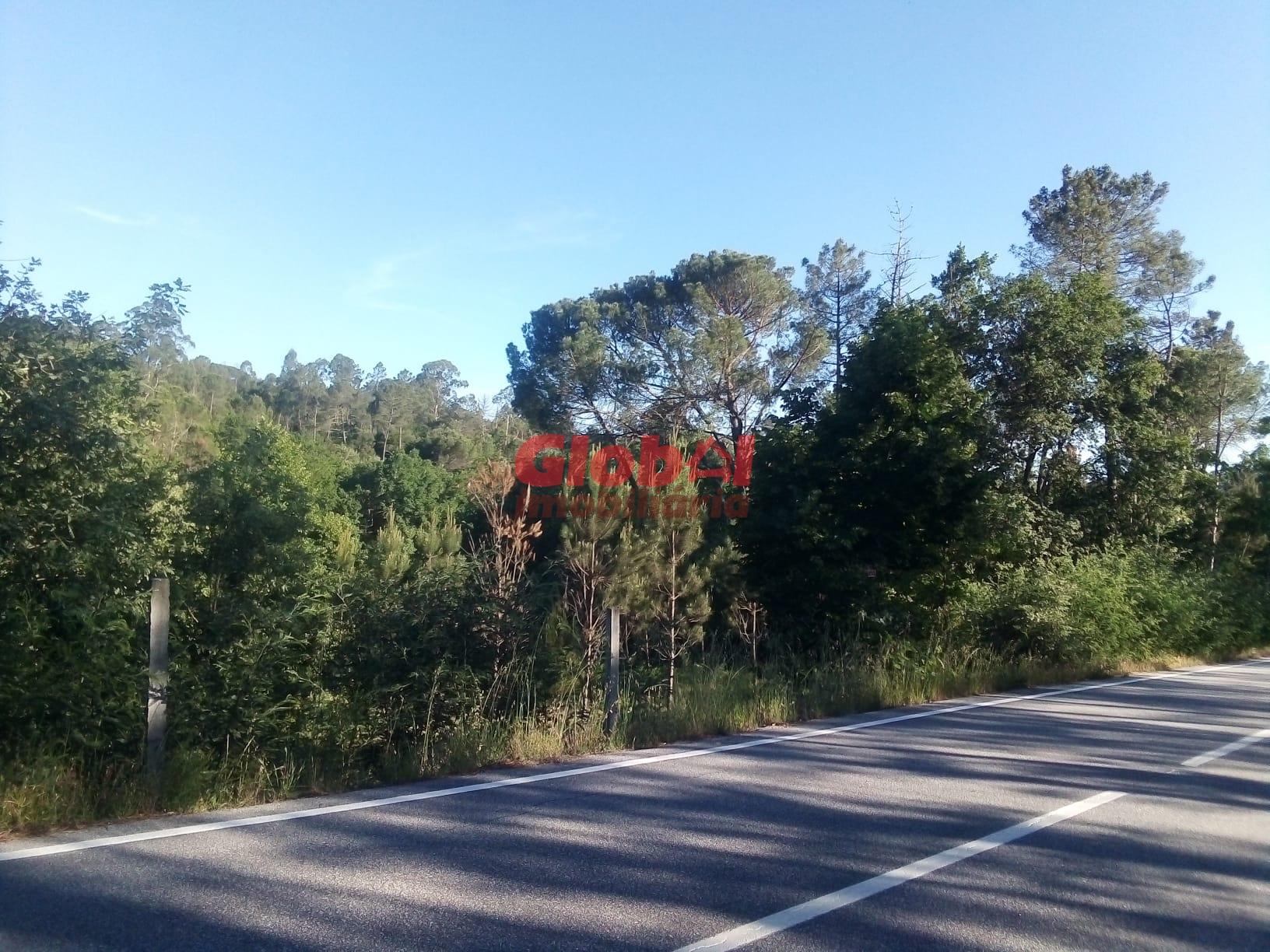 Terreno Rústico  Venda em São Cipriano e Vil de Souto,Viseu