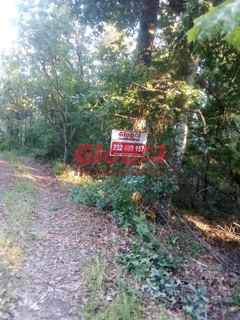 Terreno Para Construção  Venda em São Cipriano e Vil de Souto,Viseu