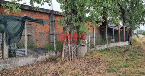 Quinta  Venda em Couto de Baixo e Couto de Cima,Viseu