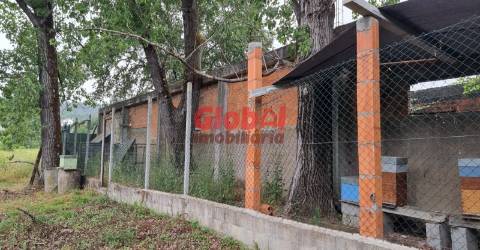 Quinta  Venda em Couto de Baixo e Couto de Cima,Viseu