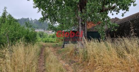Quinta  Venda em Couto de Baixo e Couto de Cima,Viseu