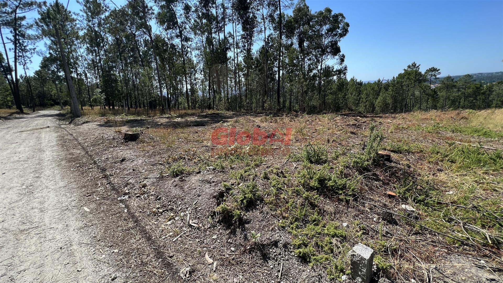 Lote de Terreno  Venda em São João de Lourosa,Viseu