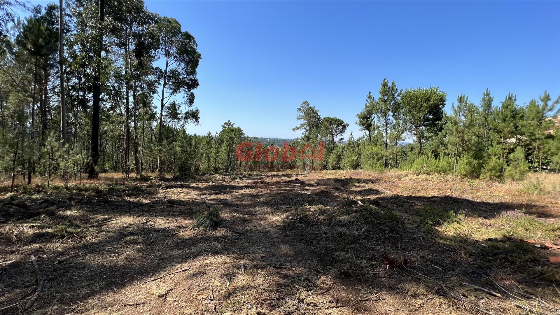 Lote de Terreno  Venda em São João de Lourosa,Viseu