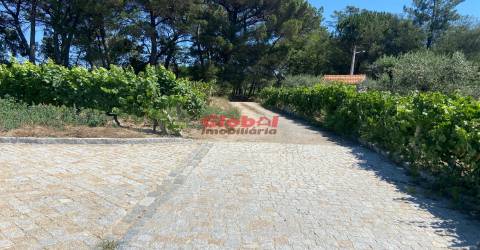 Herdade T1 Venda em Silgueiros,Viseu