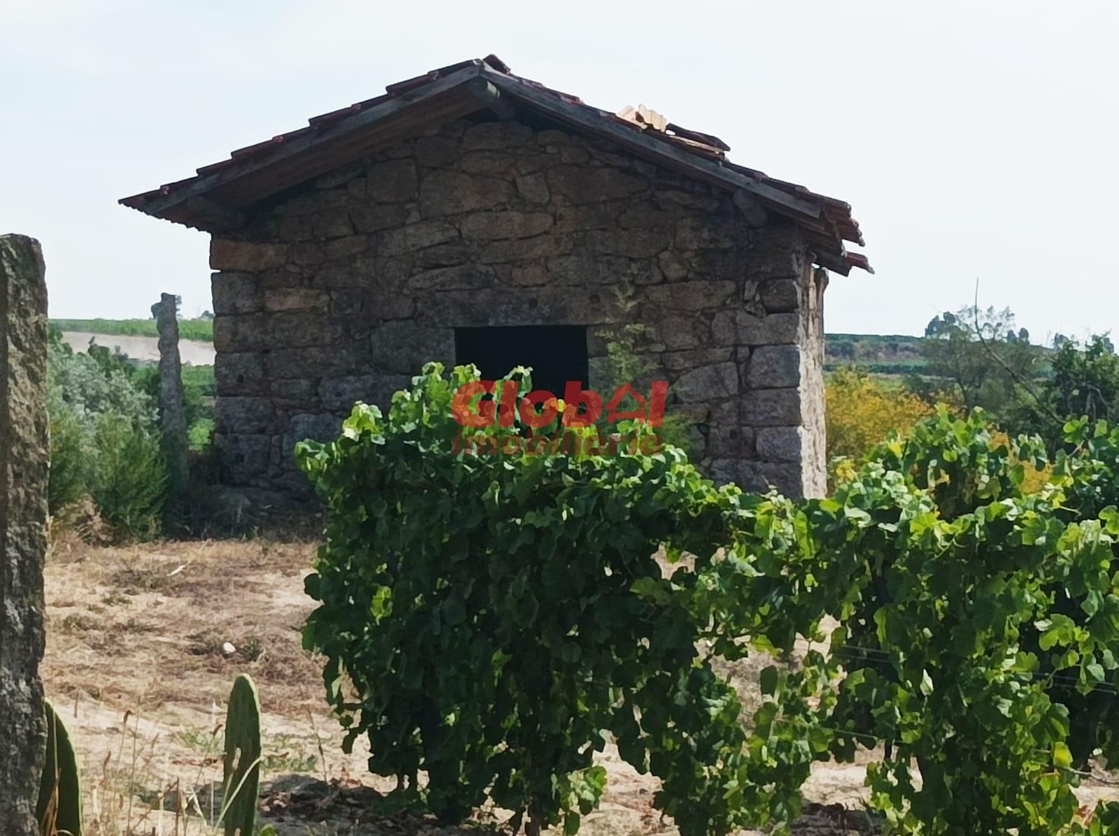 Quinta  Venda em Santar e Moreira,Nelas