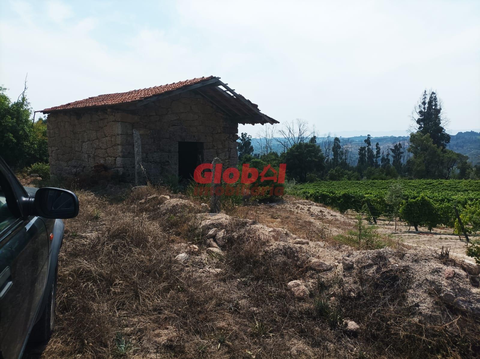 Quinta  Venda em Santar e Moreira,Nelas