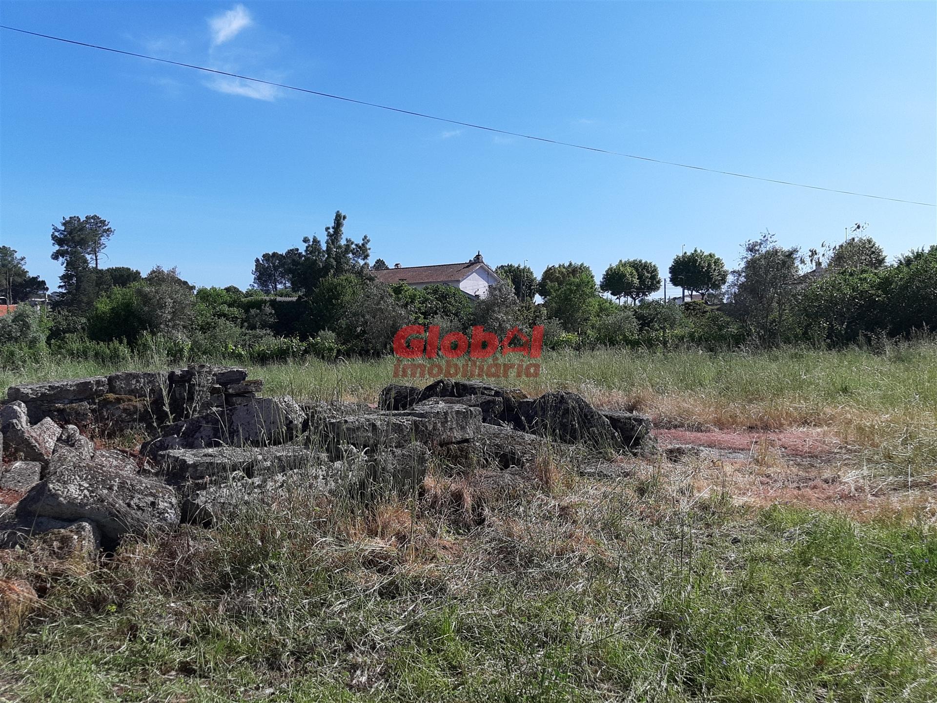 Lote de Terreno  Venda em Santar e Moreira,Nelas