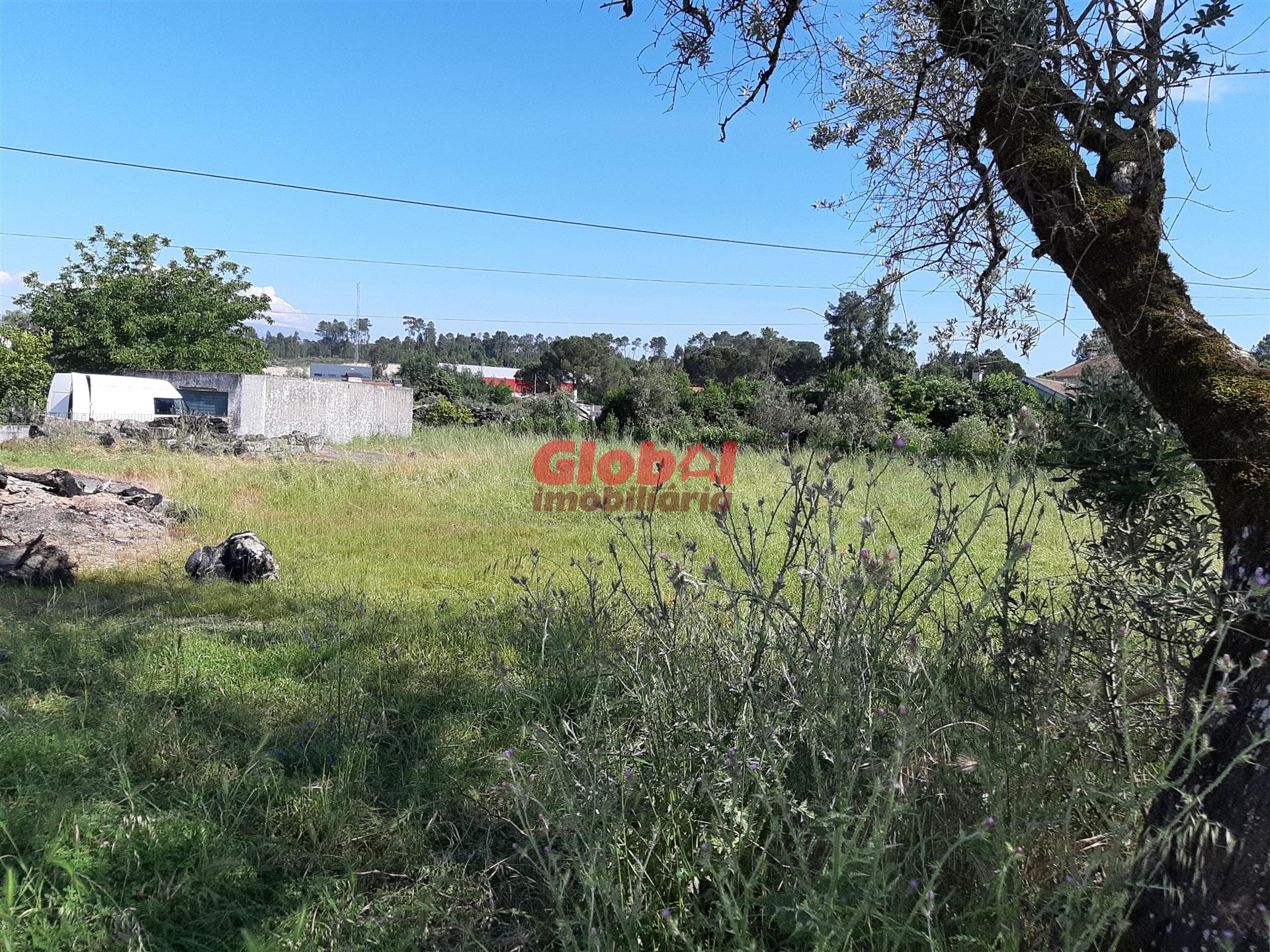 Lote de Terreno  Venda em Santar e Moreira,Nelas