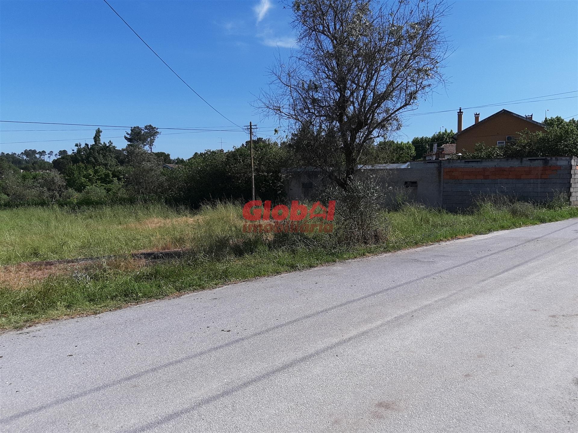 Lote de Terreno  Venda em Santar e Moreira,Nelas