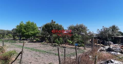 Lote de Terreno  Venda em Santar e Moreira,Nelas