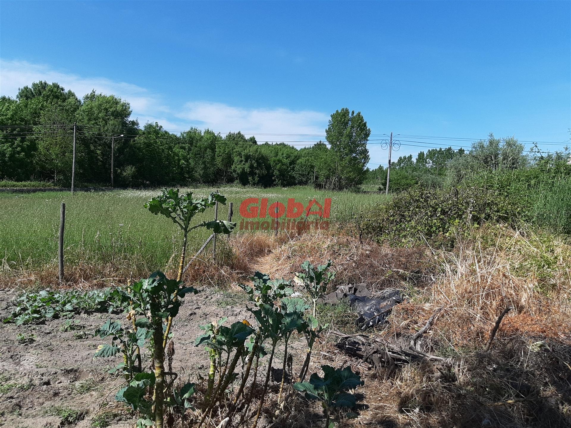 Lote de Terreno  Venda em Santar e Moreira,Nelas