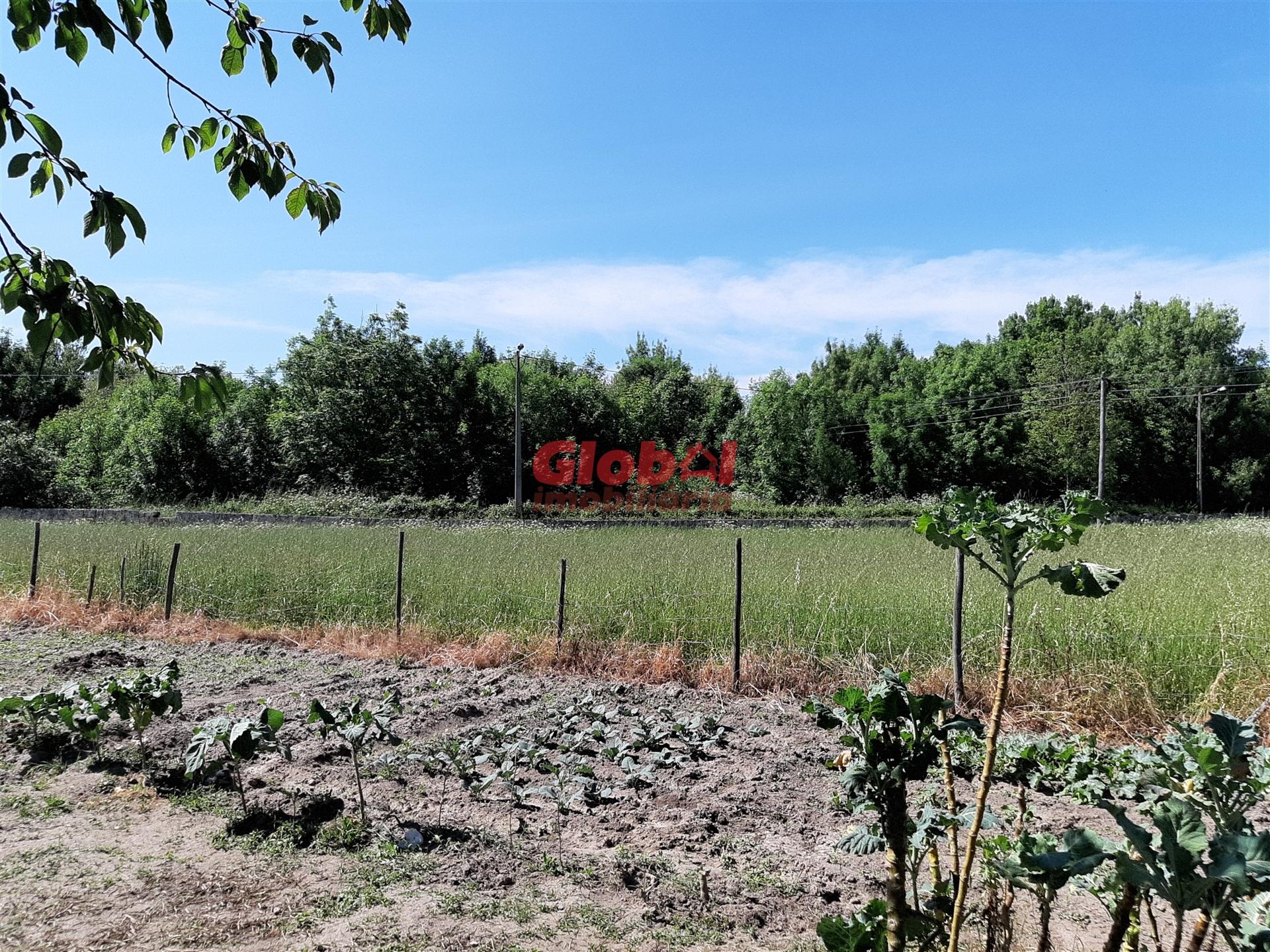 Lote de Terreno  Venda em Santar e Moreira,Nelas