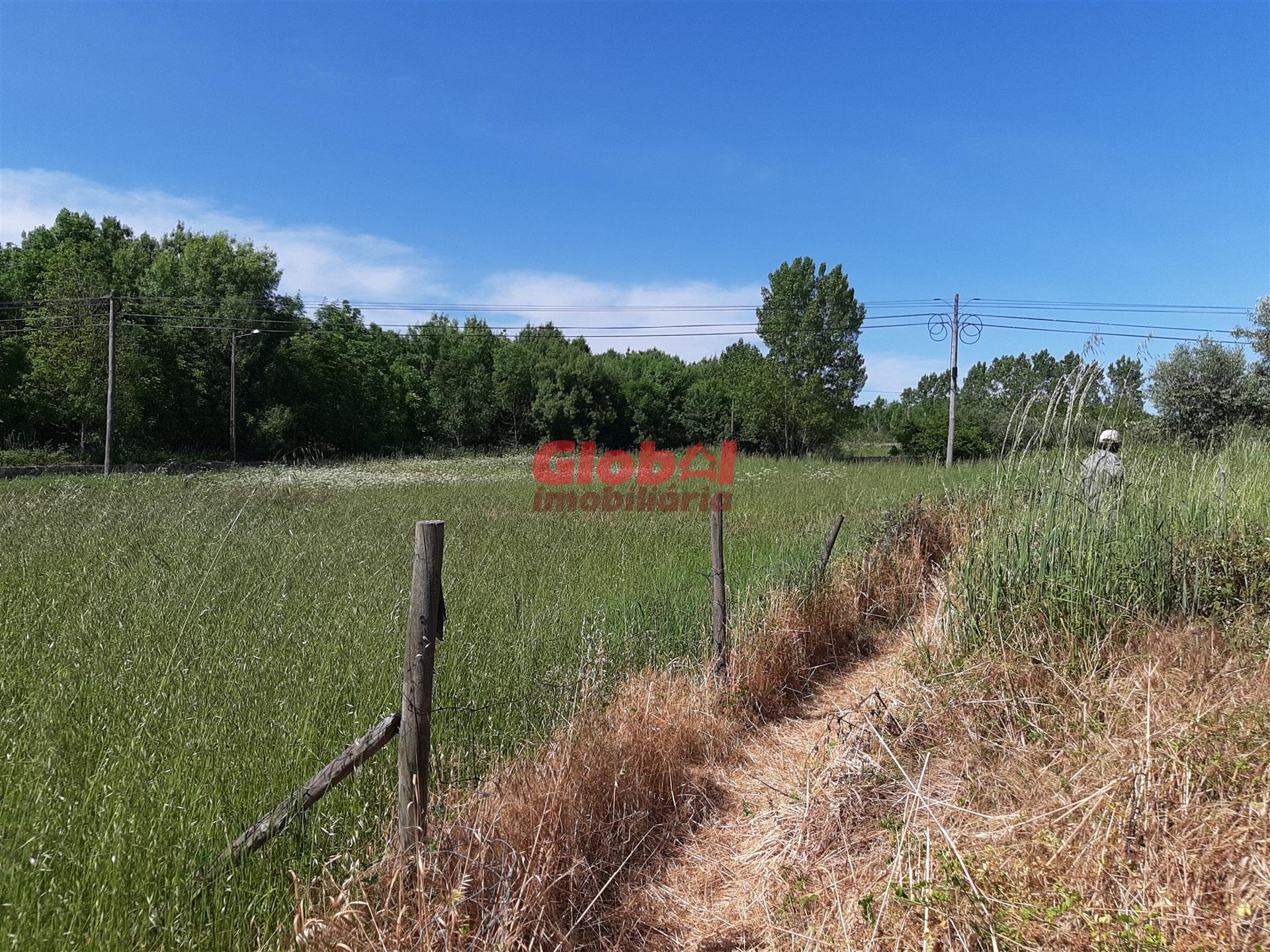 Lote de Terreno  Venda em Santar e Moreira,Nelas