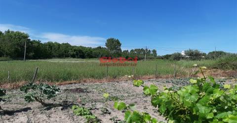 Lote de Terreno  Venda em Santar e Moreira,Nelas