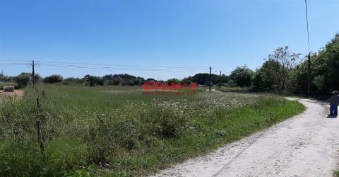 Lote de Terreno  Venda em Santar e Moreira,Nelas