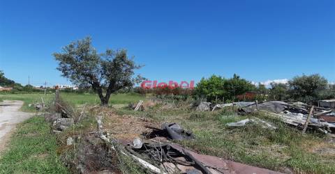 Lote de Terreno  Venda em Santar e Moreira,Nelas