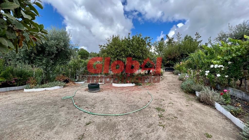 Lote de Terreno  Venda em Faíl e Vila Chã de Sá,Viseu